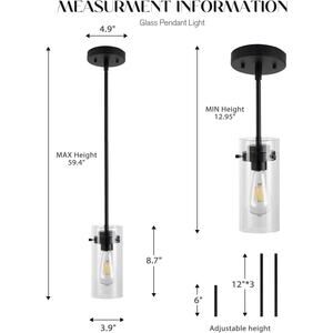 Clear Glass Shade Pendant Lighting-PDA1353-MBK